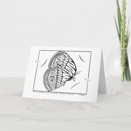 ミッチェルズ・バタフライ・メイズ・グリーティング・カード カード (正面)