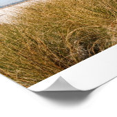 ミッチェルビルビーチ2008,ナタリーネルソン ポスター (角)