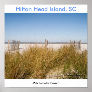 ミッチェルビルビーチ2008，ナタリーネルソン ポスター