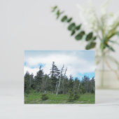 ミッチェル山 ポストカード (スタンド正面)