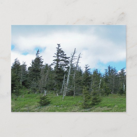 ミッチェル山 ポストカード (正面)