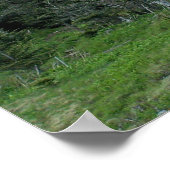 ミッチェル1世 ポスター (角)