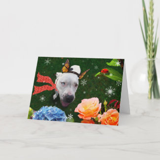 ミッツィザマリポサホリデーグリーティングカード シーズンカード