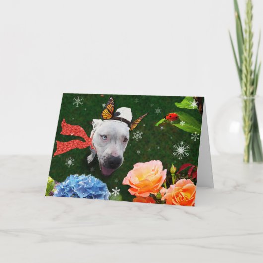 ミッツィザマリポサホリデーグリーティングカード シーズンカード (正面)