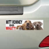 ミット・ロムニーは何をしましたか。! 屋根のバンパーステッカーの犬 バンパーステッカー (車上)