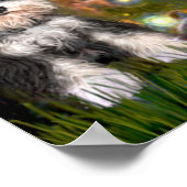 ミッドイブ – シュナウザー(B) ポスター (角)