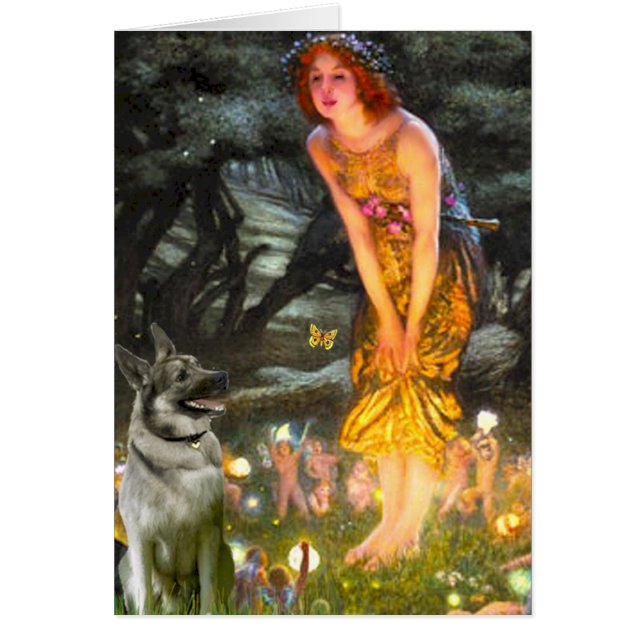 ミッドイブ – ノルウェーエルクハウンド (正面)