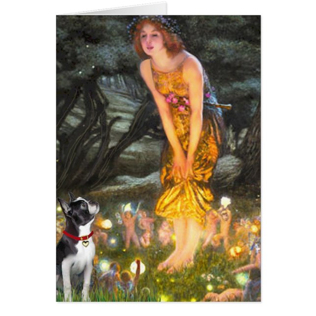 ミッドイブ – ボストンテリア#2 (正面)