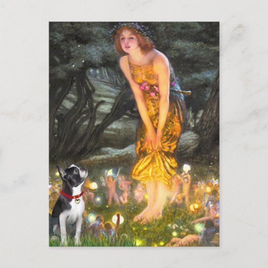 ミッドイブ – ボストンテリア#2 ポストカード (正面)