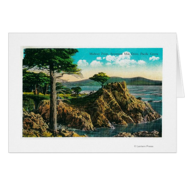 ミッドウェイポイント17マイルドライブ (正面横)