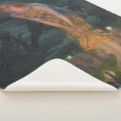 ミッドサマーイブEdward Robert Hughes妖精ファンタジー シェルパブランケット (3/4)