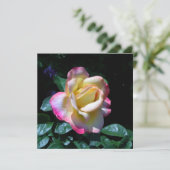 ミッドサマーガーデンバラ カード (スタンド正面)