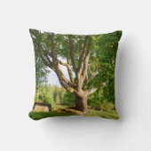 ミッドサマーライトスモーランド クッション (正面)