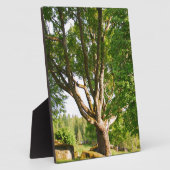 ミッドサマーライトスモーランド フォトプラーク (側面)