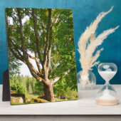 ミッドサマーライトスモーランド フォトプラーク (側面)