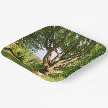 ミッドサマーライトスモーランド