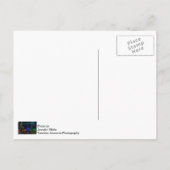 ミッドタウンのクリスマスグリーティングクリスマスポストカード ポストカード (裏面)