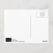 ミッドタウンのクリスマス ポストカード (裏面)