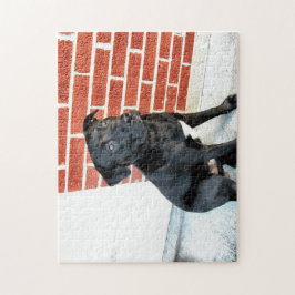 ミッドナイトがポーズをとる ジグソーパズル