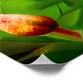 ミッドナイトガーデンに登場するエジプトのマウ猫 ポスター (角)