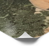 ミッドナイトスノーストームコロラドマウンテンズ ポスター (コーナー)