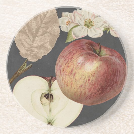 ミッドナイトハーベストII コースター (正面)