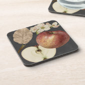 ミッドナイトハーベストII コースター (左側)