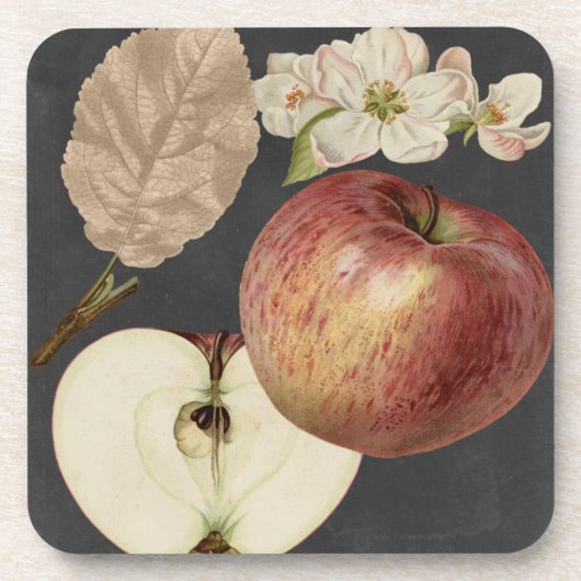 ミッドナイトハーベストII コースター (正面)