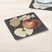 ミッドナイトハーベストII スクエアペーパーコースター (アングル)