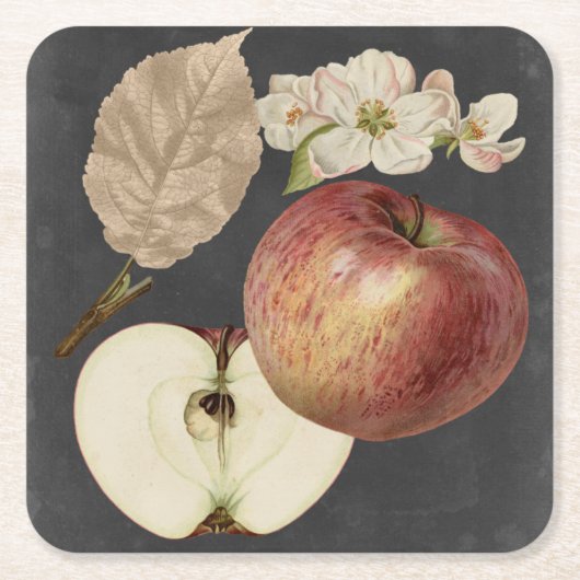 ミッドナイトハーベストII スクエアペーパーコースター (正面)