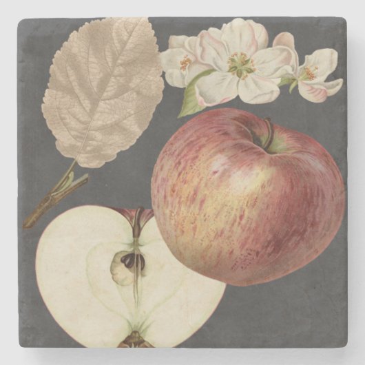 ミッドナイトハーベストII ストーンコースター (正面)