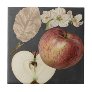 ミッドナイトハーベストII タイル