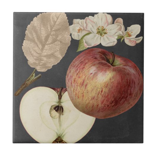 ミッドナイトハーベストII タイル (正面)