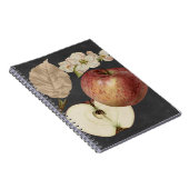 ミッドナイトハーベストII ノートブック (右側)