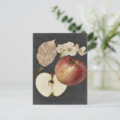 ミッドナイトハーベストII ポストカード (スタンド正面)