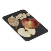 ミッドナイトハーベストII マグネット (右側)