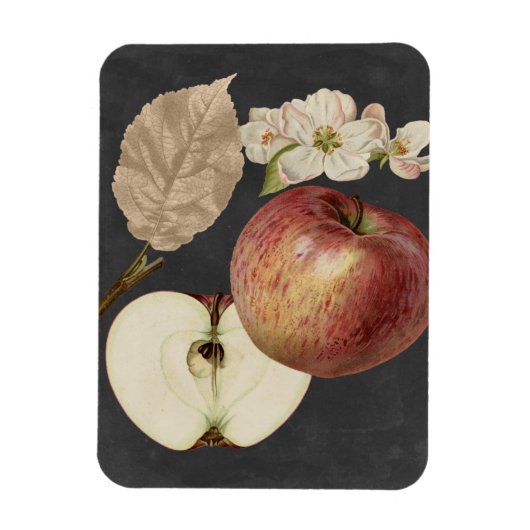 ミッドナイトハーベストII マグネット (縦)