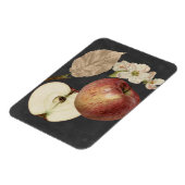 ミッドナイトハーベストII マグネット (左側)