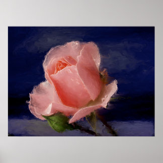 ミッドナイトバラ ポスター