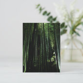 ミッドナイトバンブー ポストカード (スタンド正面)