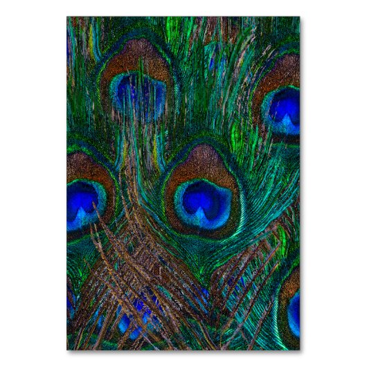 ミッドナイトピーコック羽毛エッチングスタイルデコール テーブルナンバー (正面)