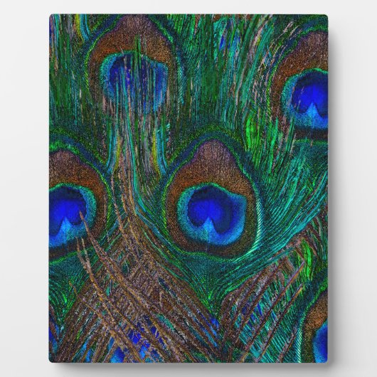 ミッドナイトピーコック羽毛エッチングスタイルデコール フォトプラーク (正面)