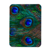 ミッドナイトピーコック羽毛エッチングスタイルデコール マグネット (縦)