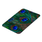 ミッドナイトピーコック羽毛エッチングスタイルデコール マグネット (左側)