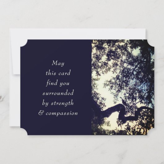 ミッドナイトブルーバーズツリーズ悔やみや弔慰死別 (正面)