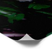 ミッドナイトマッシュルーム自然 ポスター (角)