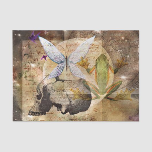 ミッドナイトムーン魔法スペルフロッグデコップページ 薄葉紙 (正面)