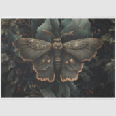 ミッドナイトモス 薄葉紙 (正面)