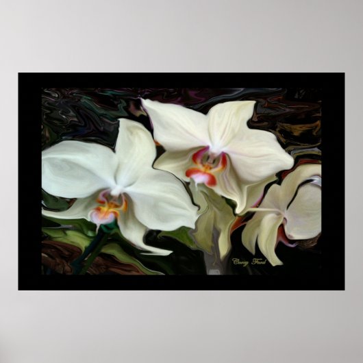 ミッドナイト魔法オーキッドプリント ポスター (正面)