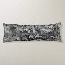 ミッドナイト・シダ ボディピロー